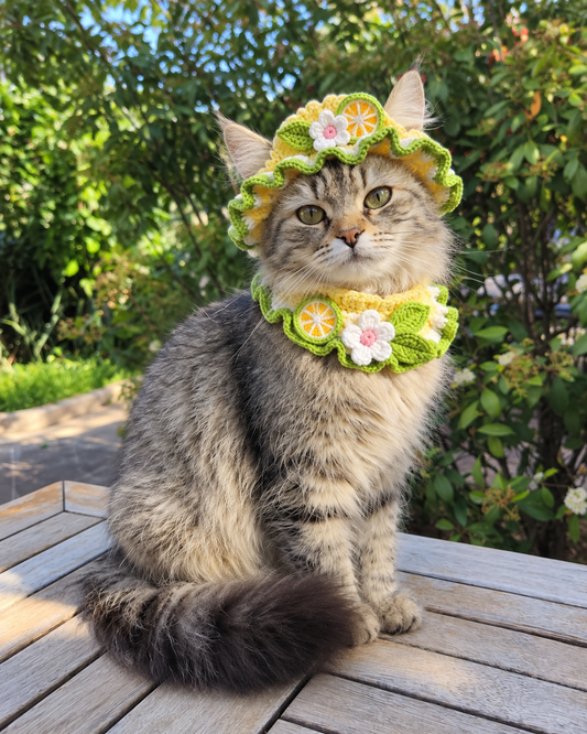 Crochet Hat & Collar Set