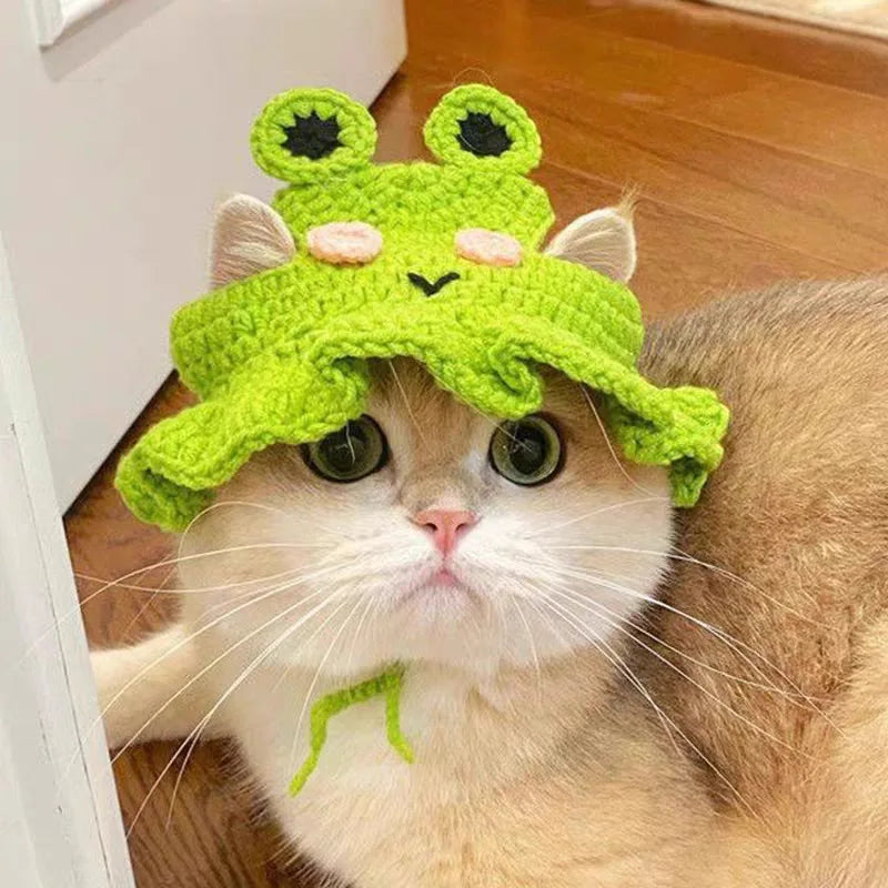 Frog Color Knitted Cat Costume Hat With Elastic – Cute Photo Prop